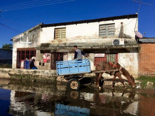 LANDFILL HARMONIC OF CATEURA 5