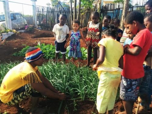 Summer school 2017. learning in about planting